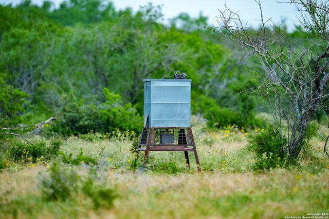 10801 County Road 116, Kenedy, TX 78119