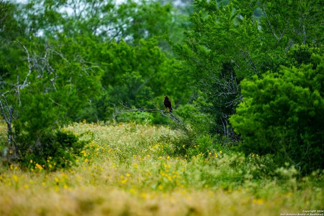 10801 County Road 116, Kenedy, TX 78119