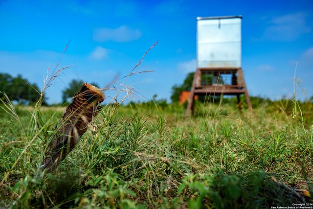 10801 County Road 116, Kenedy, TX 78119