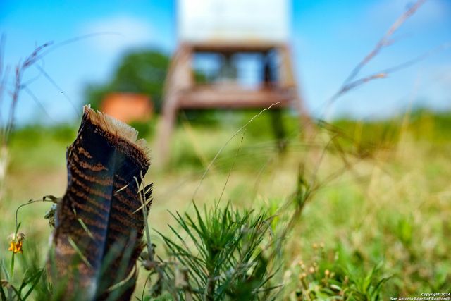 10801 County Road 116, Kenedy, TX 78119