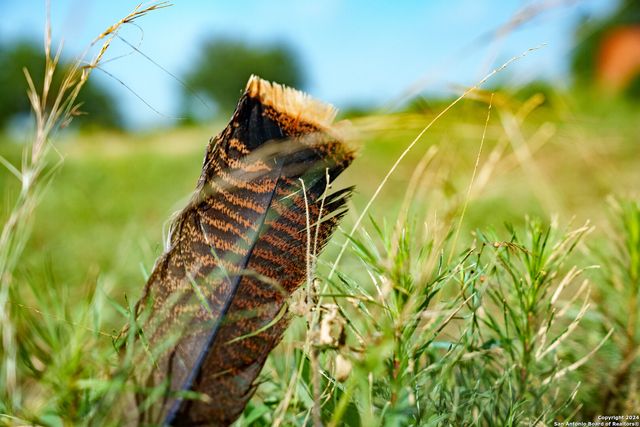 10801 County Road 116, Kenedy, TX 78119