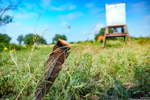 10801 County Road 116, Kenedy, TX 78119