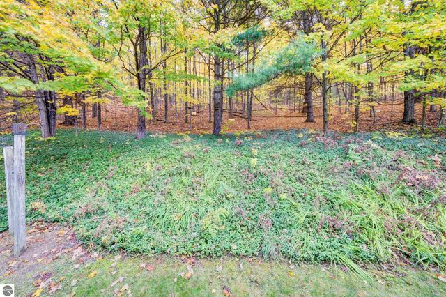 9144 E Hoxie Road, Cedar, MI 49621