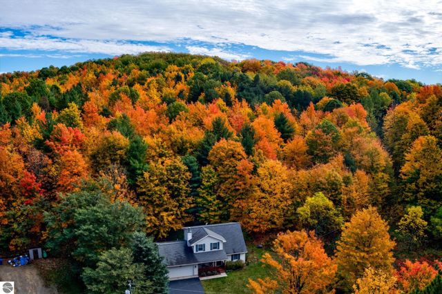 9144 E Hoxie Road, Cedar, MI 49621