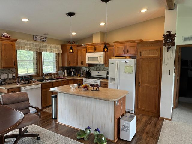 21250 Farm View Drive, Park Rapids, MN 56470
