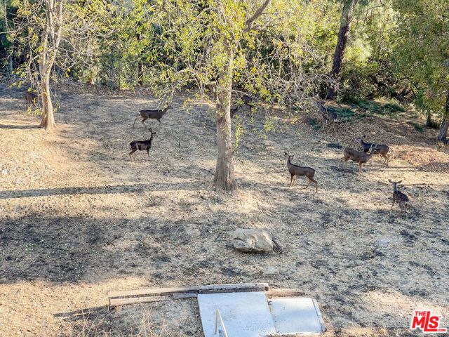 3212 Wrightwood Drive, Studio City (los Angeles), CA 91604