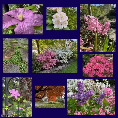 42 Euclid Ave, Maplewood Twp., NJ 07040