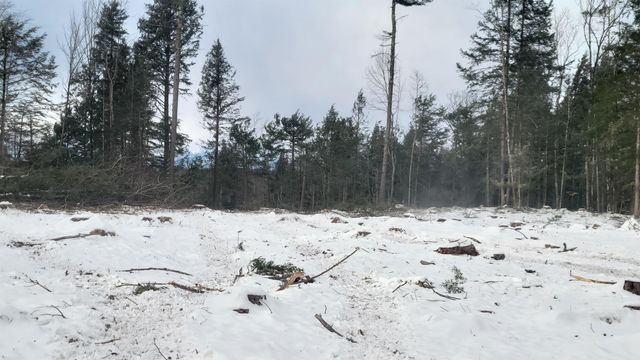 91-95 Elm Street, Ossipee, NH 03864