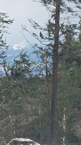 91-95 Elm Street, Ossipee, NH 03864