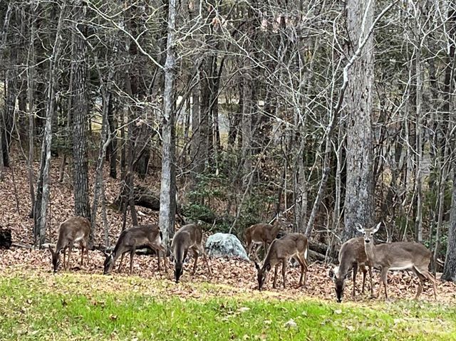 119 Balsam Circle 465, Troy, NC 27371