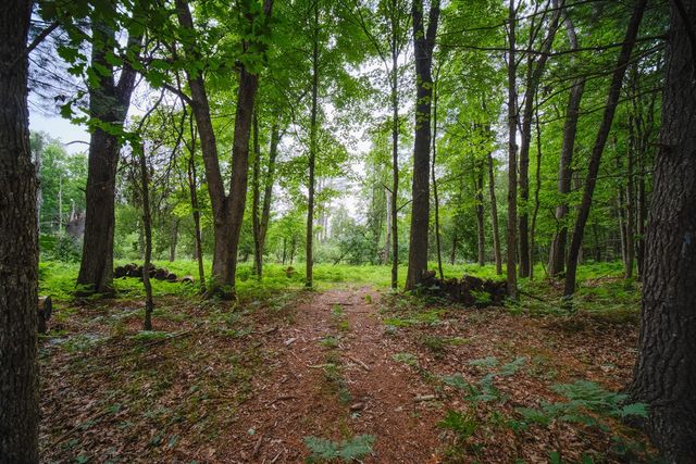 5680 E Shores Drive, Free Soil, MI 49411