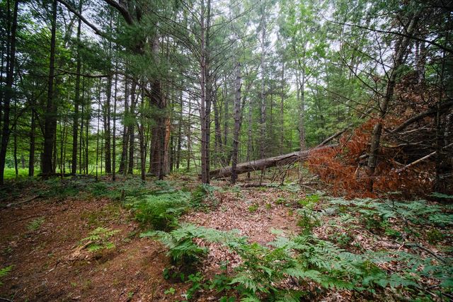 5680 E Shores Drive, Free Soil, MI 49411