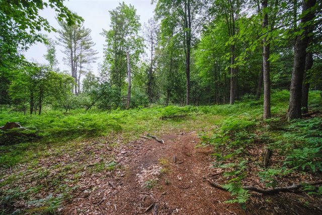 5680 E Shores Drive, Free Soil, MI 49411