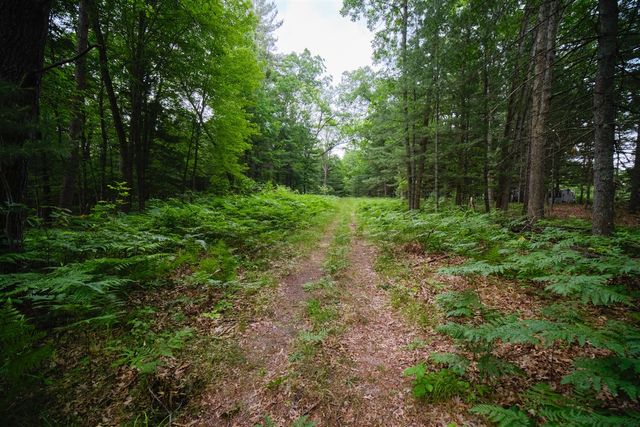 5680 E Shores Drive, Free Soil, MI 49411