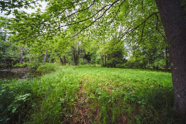 5680 E Shores Drive, Free Soil, MI 49411