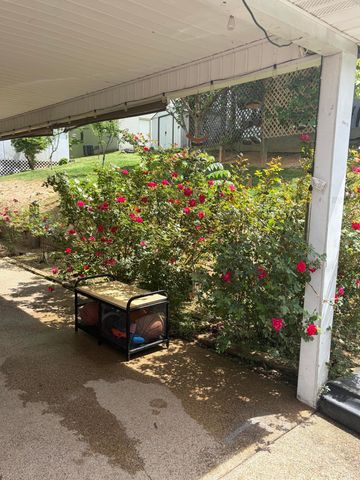 507 Swan Street, Corbin, KY 40701