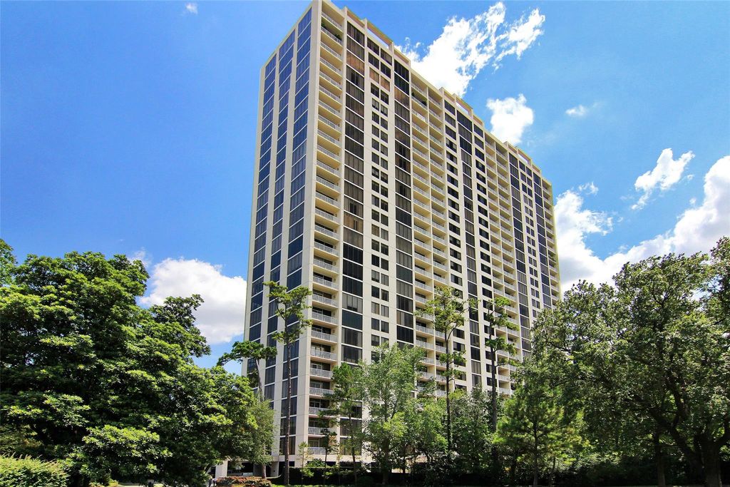 121 North Post Oak Lane 2303, Houston, TX 77024
