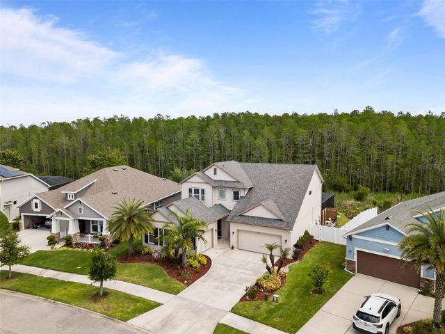 2962 LONG BOW WAY, Odessa, FL 33556