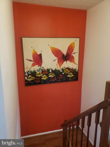 7341 GOLDEN HORSESHOE CT, Springfield, VA 22153