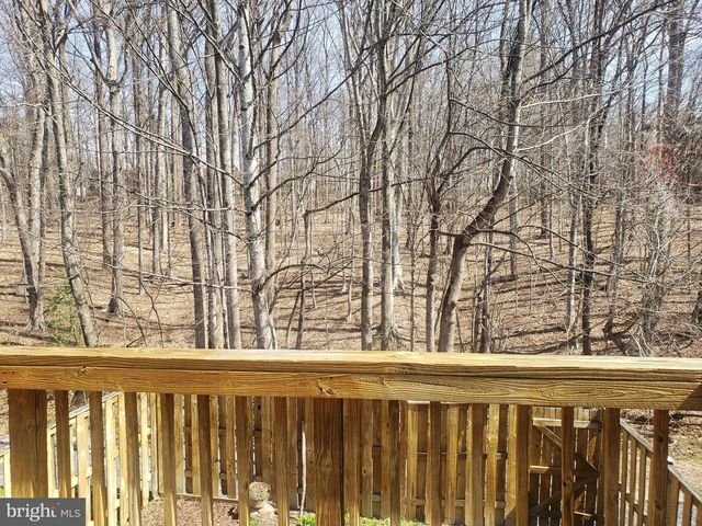 7341 GOLDEN HORSESHOE CT, Springfield, VA 22153