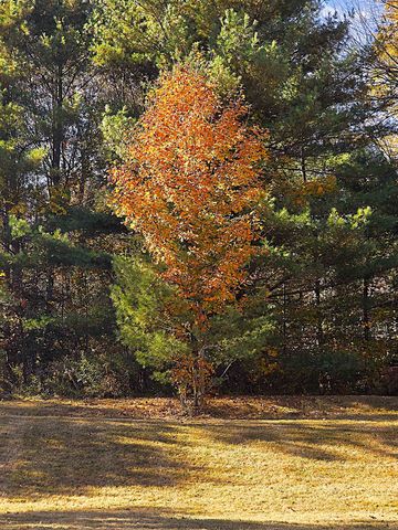 29 George Street, Orange, VT 05641