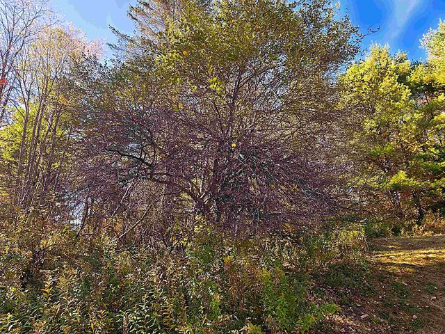 29 George Street, Orange, VT 05641