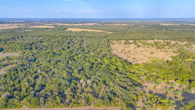 TBD 13.098 AC SE CR 4240, Kerens, TX 75144