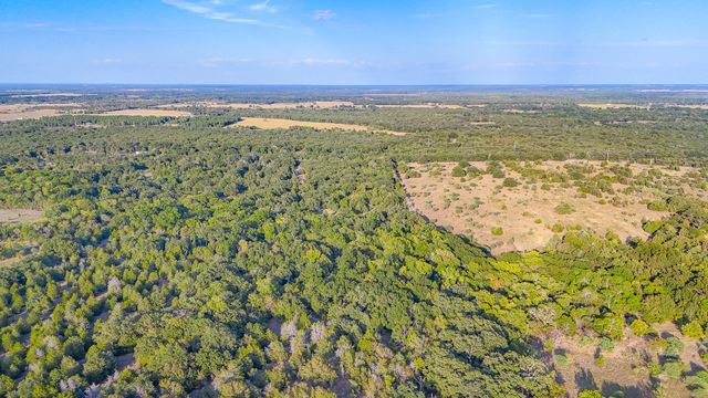 TBD 13.098 AC SE CR 4240, Kerens, TX 75144