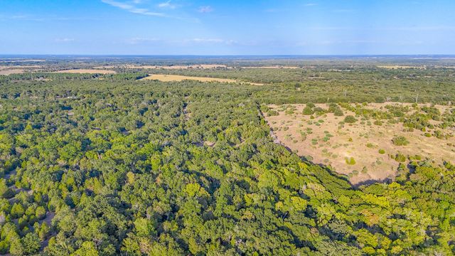TBD 13.098 AC SE CR 4240, Kerens, TX 75144