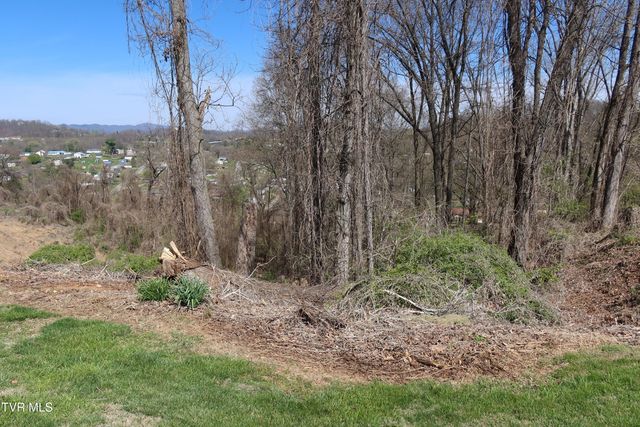 Tbd Clara Drive, Kingsport, TN 37660