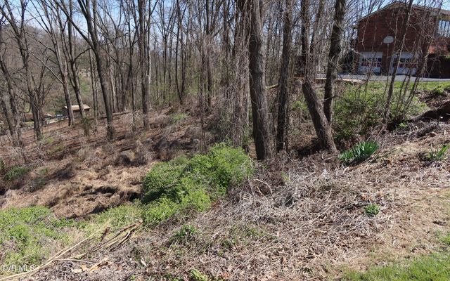 Tbd Clara Drive, Kingsport, TN 37660