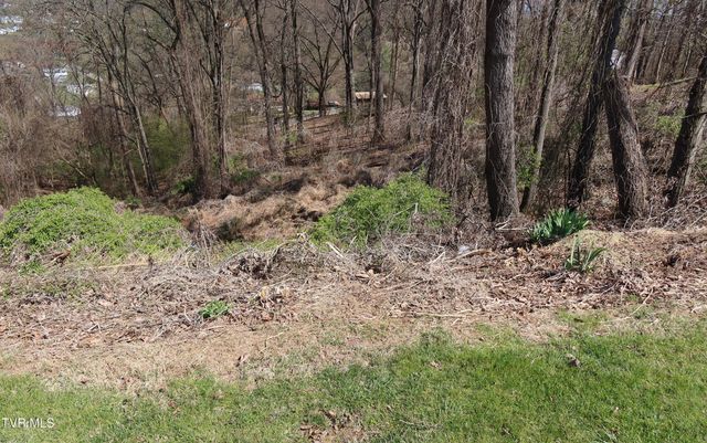 Tbd Clara Drive, Kingsport, TN 37660