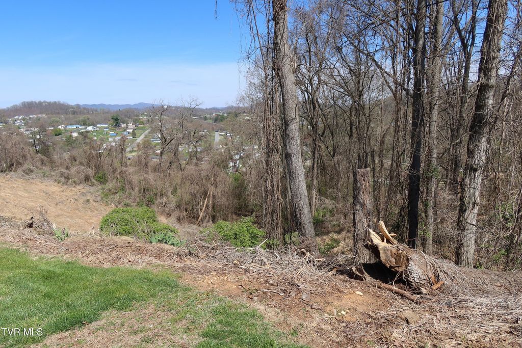 Tbd Clara Drive, Kingsport, TN 37660