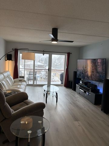 1349 E Washington Street 404, Des Plaines, IL 60016