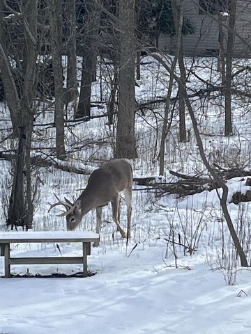 7 ASH GROVE PLACE, Kaukauna, WI 54130