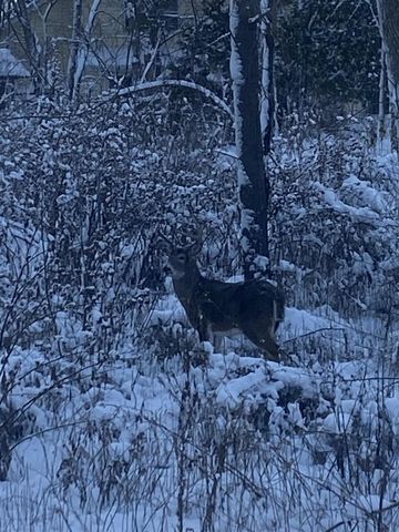 7 ASH GROVE PLACE, Kaukauna, WI 54130