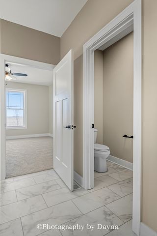 392 White Hawk Way, Manteno, IL 60950