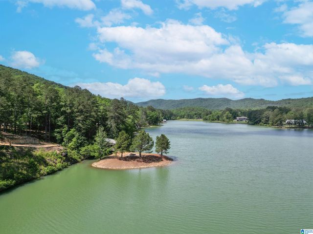 17A TWIN PINES ROAD, Birmingham, AL 35242