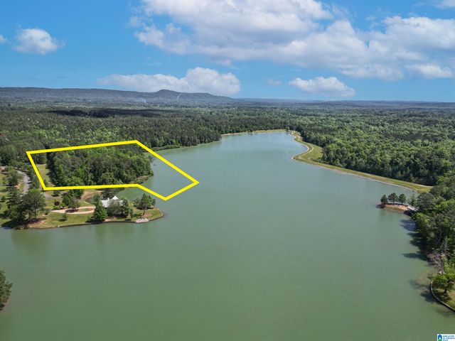 17A TWIN PINES ROAD, Birmingham, AL 35242