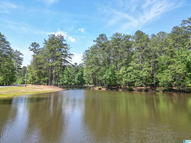 17A TWIN PINES ROAD, Birmingham, AL 35242