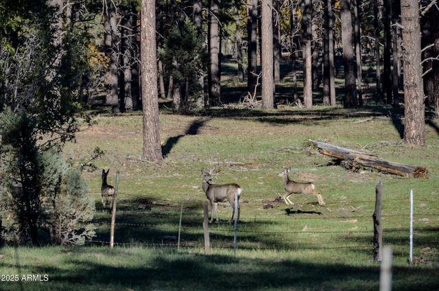 685 KUHN Road, Pinedale, AZ 85934