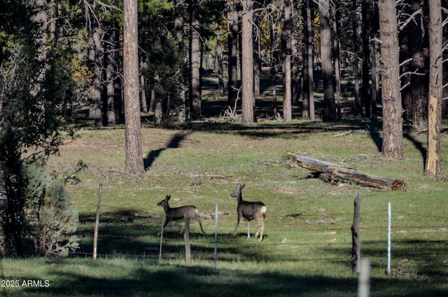 685 KUHN Road, Pinedale, AZ 85934