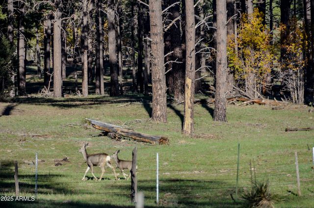 685 KUHN Road, Pinedale, AZ 85934