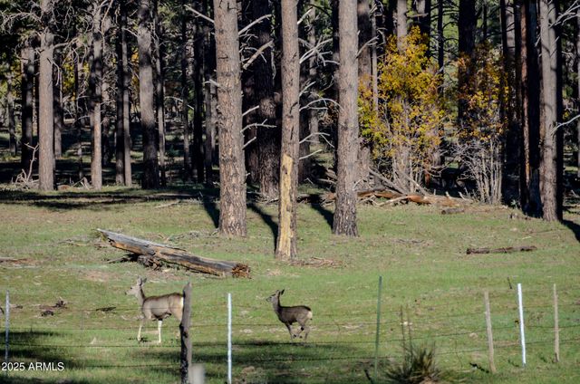 685 KUHN Road, Pinedale, AZ 85934