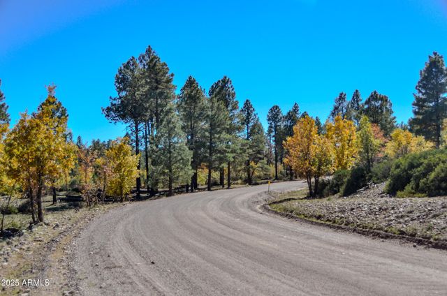 685 KUHN Road, Pinedale, AZ 85934