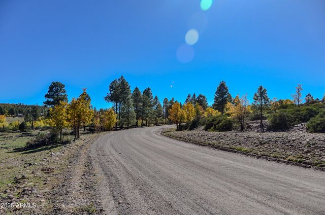 685 KUHN Road, Pinedale, AZ 85934