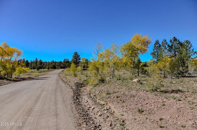 685 KUHN Road, Pinedale, AZ 85934