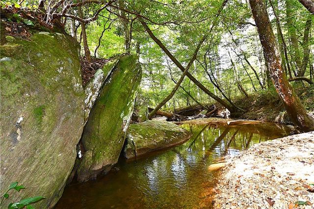 00001 Poplar Springs Road, Buchanan, GA 30113