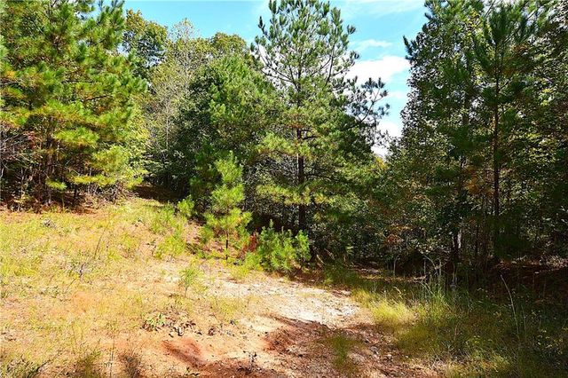 00001 Poplar Springs Road, Buchanan, GA 30113