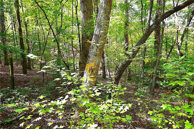 00001 Poplar Springs Road, Buchanan, GA 30113